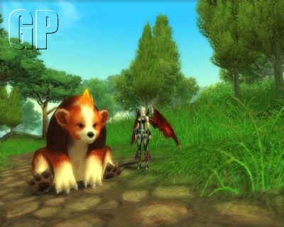 New Pets Run Wild In Silkroad Online